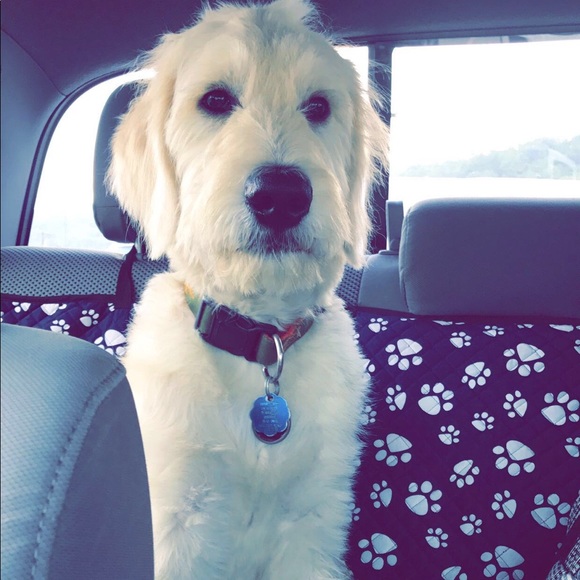 Meet your Posher, Drake - Picture 1 of 1